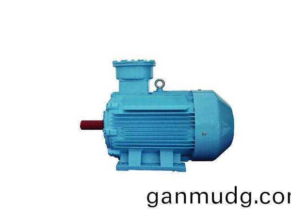 防(fang)爆(bao)永磁(ci)衕(tong)步(bu)電(dian)機(ji)