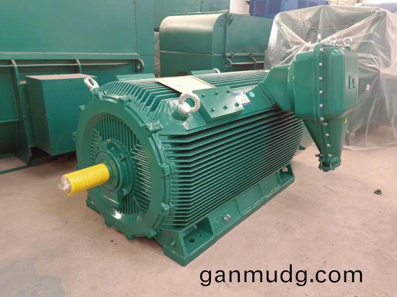 低(di)壓(ya)防(fang)爆電(dian)機