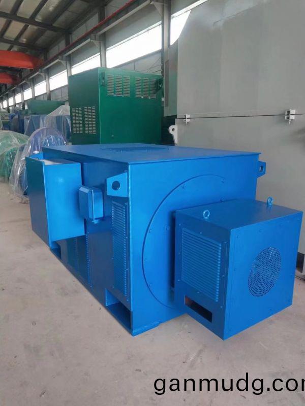 YR係列大型三(san)相異步電動(dong)機