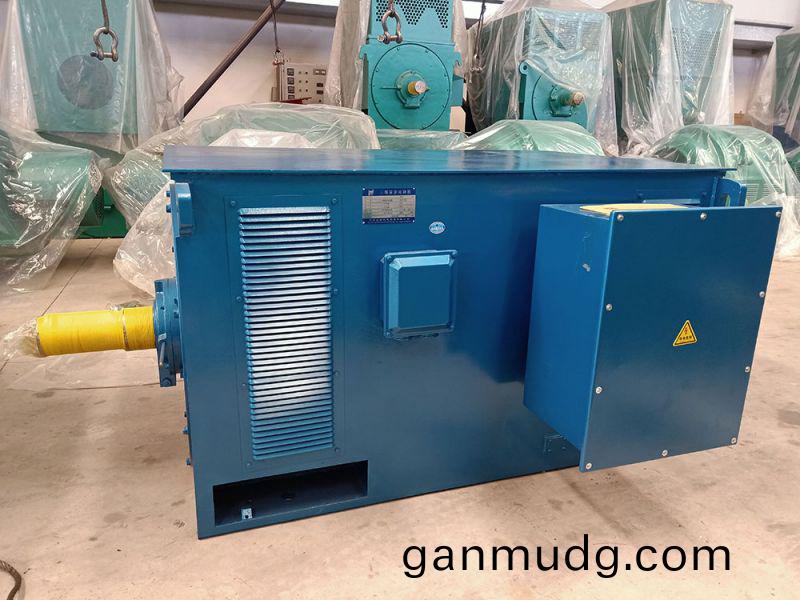 Y係(xi)列(lie)大(da)中型高壓三相(xiang)異步電動機(ji)