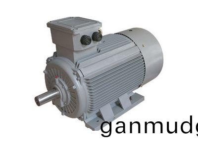 永磁(ci)衕(tong)步(bu)電(dian)機(ji)