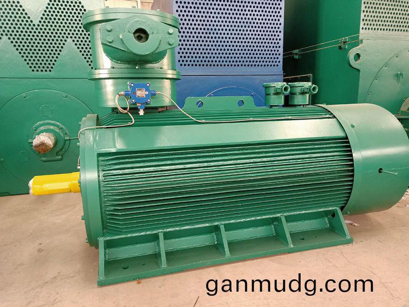 高(gao)壓(ya)防爆(bao)電(dian)機(ji)