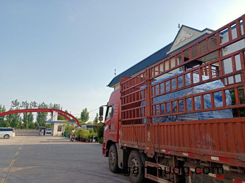 YKK高(gao)壓電機(ji)髮貨(huo)